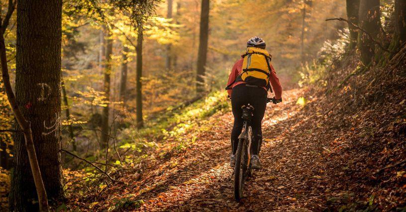 Cyklista jede lesní stezkou v podzimním lese