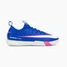 Sálové kopačky Nike