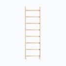 Gymnastické žebříky