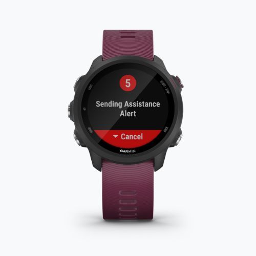 Sportovní hodinky Garmin Forerunner 245 fialové 010-02120-11
