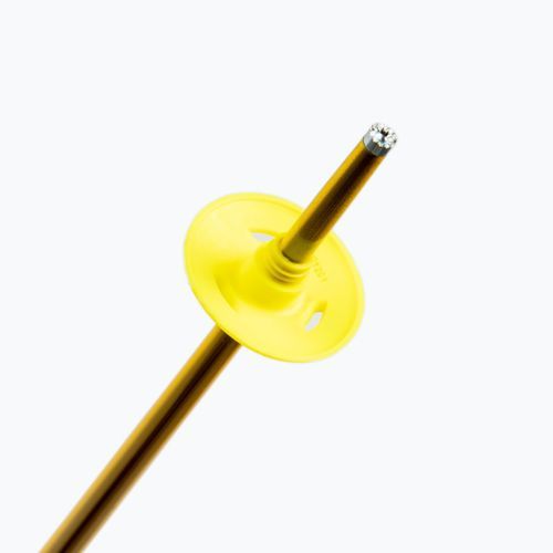 Lyžařské hole Salomon Arctic žluté L40559200