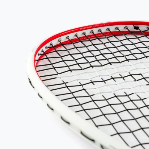 Squashová raketa Tecnifibre Carboflex 125 Airshaft bílá 12CAR12519