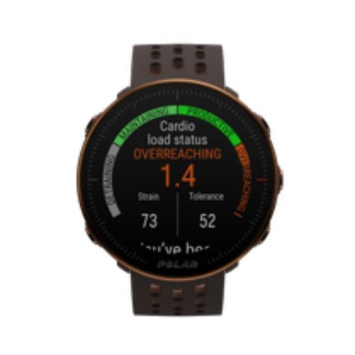 Hodinky Polar Vantage M2 Hnědé