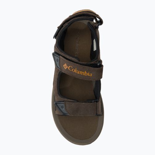 Columbia Trailstorm Hiker 3 Strap 231 brown 1987221 Pánské trekové sandály