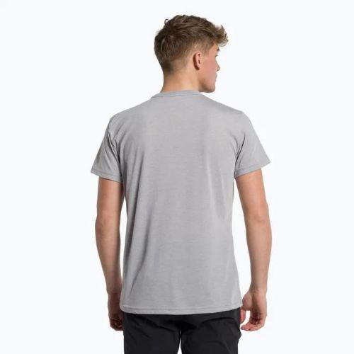Pánské trekové tričko Salewa Solidlogo Dry grey 00-0000027018
