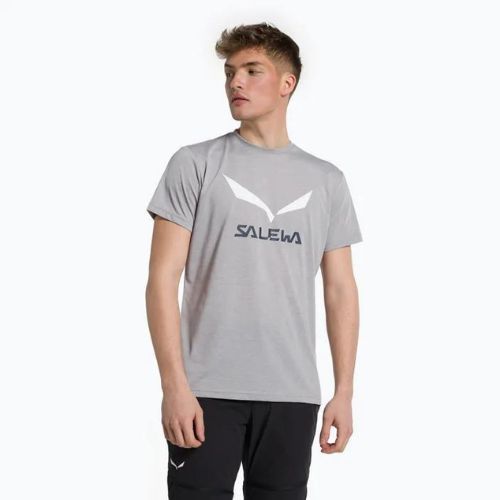 Pánské trekové tričko Salewa Solidlogo Dry grey 00-0000027018