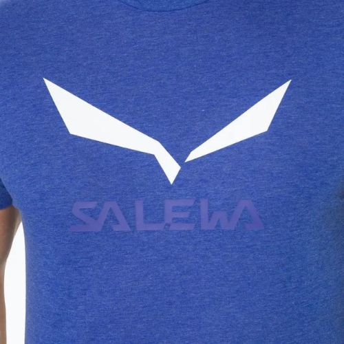 Pánské trekové tričko Salewa Solidlogo Dry modré 00-0000027018