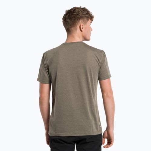 Pánské trekové tričko Salewa Alta Via Dry hnědé 00-0000027406