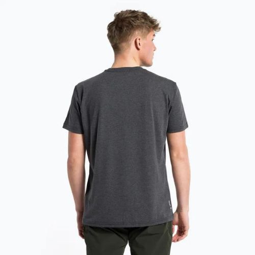 Pánské trekingové tričko Salewa Pure Box Dry grey 00-0000028378