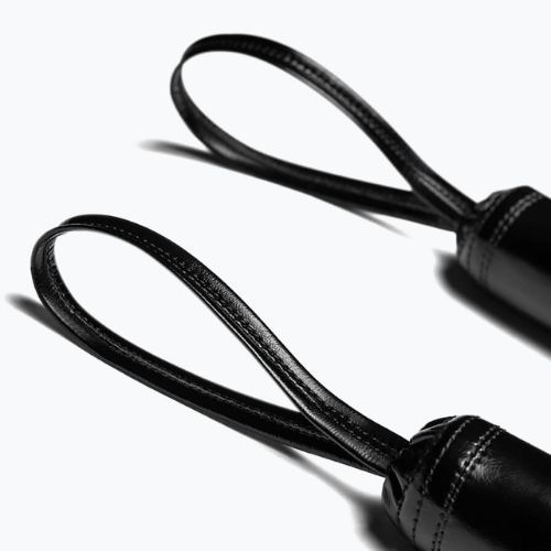 Tréninkové hole Hayabusa černé PTS3SP