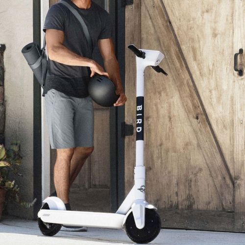 Bird One 9" elektrický skútr bílý BI-60254