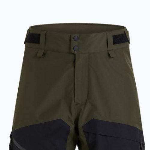 Pánské lyžařské kalhoty Peak Performance Gravity 2L GoreTex zelená G78253030