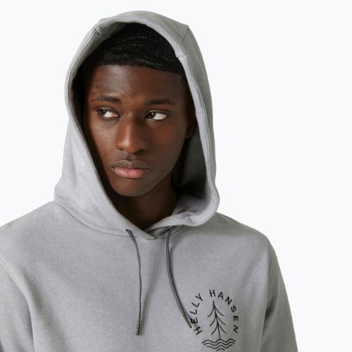Pánská treková mikina Helly Hansen F2F Organic Cotton 855 šedá 62934