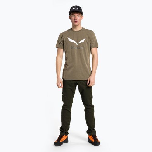 Pánské trekové tričko Salewa Solidlogo Dry khaki 00-0000027018