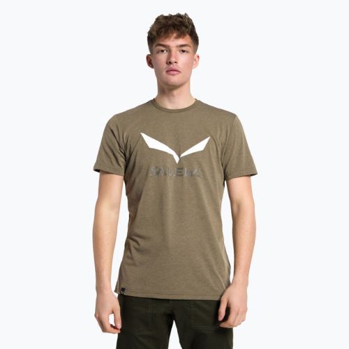 Pánské trekové tričko Salewa Solidlogo Dry khaki 00-0000027018