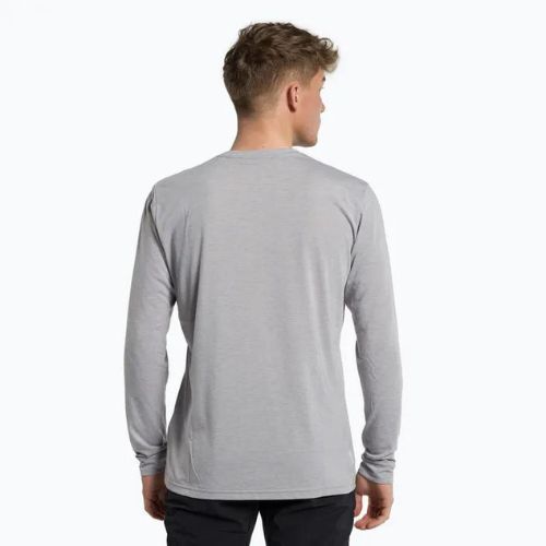 Pánské trekové tričko Salewa Solidlogo Dry grey 00-0000027340