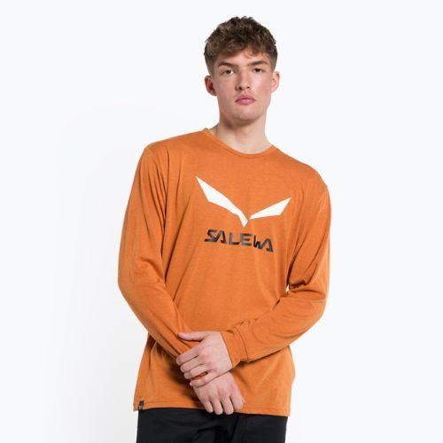 Pánské trekové tričko Salewa Solidlogo Dry orange 00-0000027340
