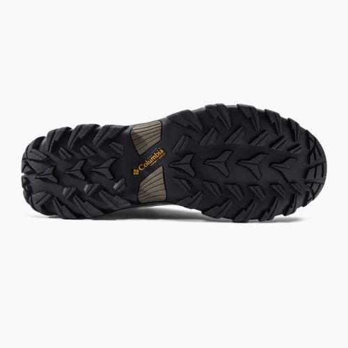 Pánská trekingová obuv Columbia Newton Ridge Plus II Wp hnědá 1594731