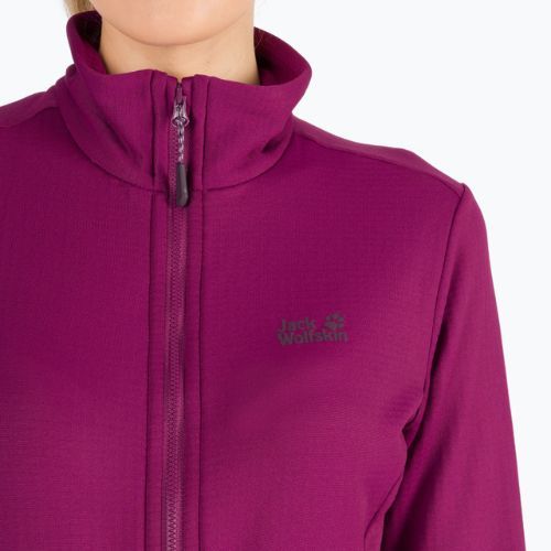Dámská fleece mikina Jack Wolfskin Peak Grid Fleece fialová 1710351