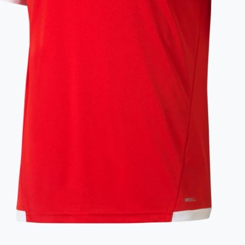 Pánské fotbalové tričko PUMA TeamLIGA Jersey červené 704917_01