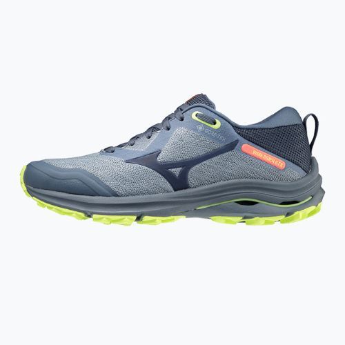 Dámská běžecká obuv Mizuno Wave Rider GTX blue J1GD217947