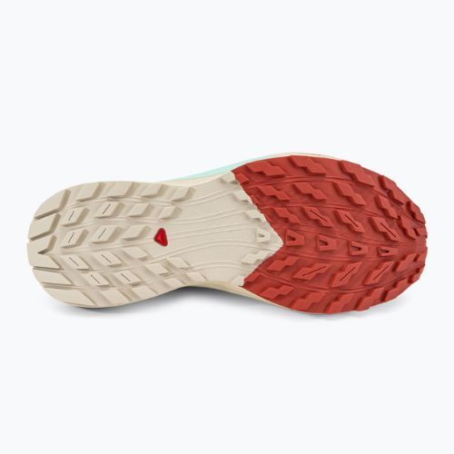 Dámské běžecké boty Salomon Sense Ride 5 Lily Pad/Rainy Day/Bleached Aqua L47212300