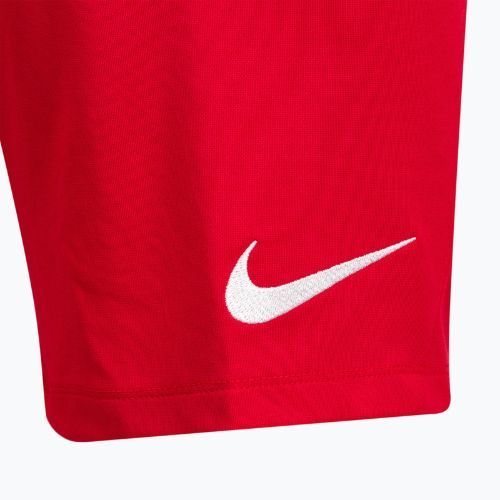 Pánské tréninkové šortky Nike Dri-Fit Park III červené BV6855-657