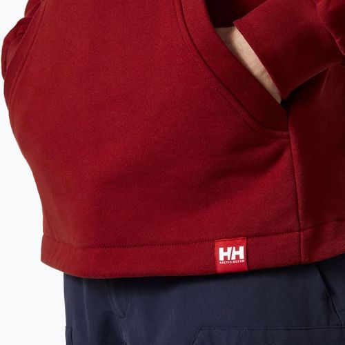 Pánská mikina s kapucí Helly Hansen Arctic Ocean Hoodie vínová 30361_215