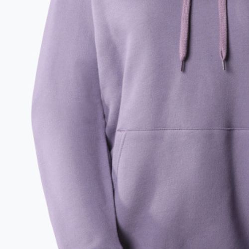 Dámská trekingová mikina The North Face Outdoor Graphic Hoodie Light purple NF0A827LN141