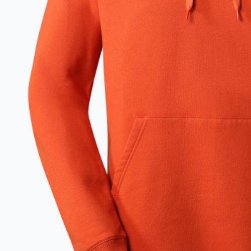 Pánská trekingová mikina The North Face Outdoor Graphic Hoodie Light orange NF0A827ILV41