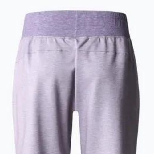 Dámské trekové kalhoty The North Face Juniper Basin Jogger purple NF0A7WSQN581