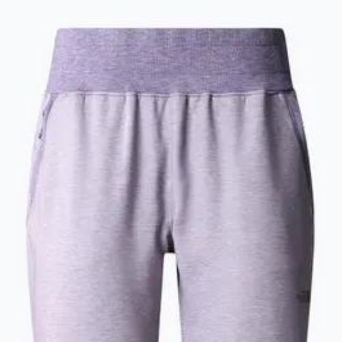 Dámské trekové kalhoty The North Face Juniper Basin Jogger purple NF0A7WSQN581