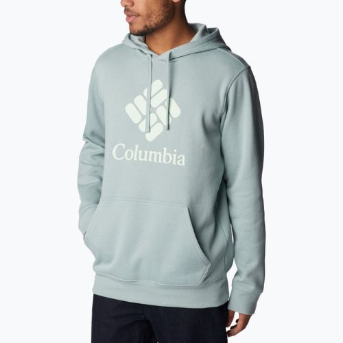 Pánská trekingová mikina Columbia Trek Hoodie šedá 1957913