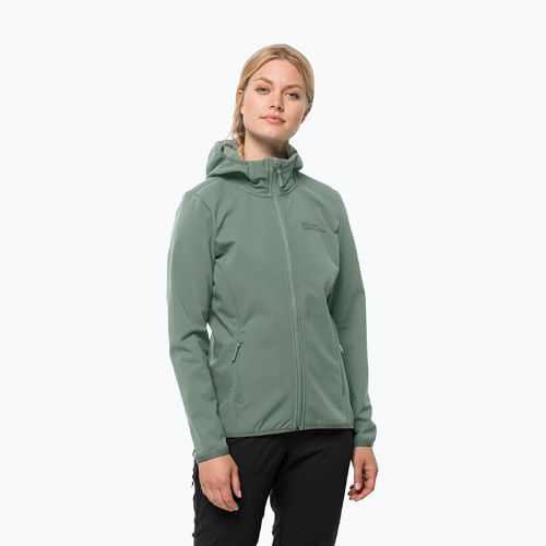 Dámská softshellová bunda Jack Wolfskin Bornberg Hoody zelená 1307691