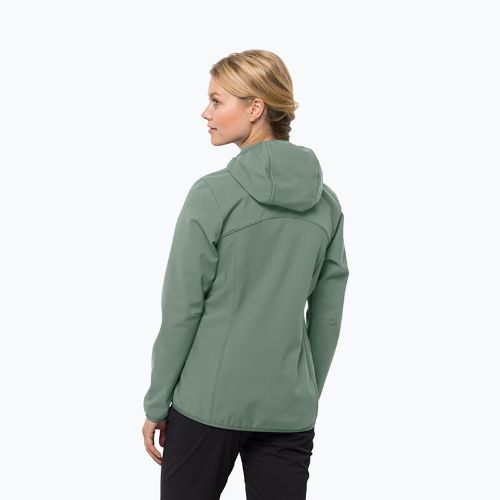 Dámská softshellová bunda Jack Wolfskin Bornberg Hoody zelená 1307691