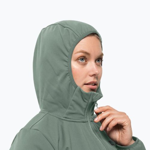 Dámská softshellová bunda Jack Wolfskin Bornberg Hoody zelená 1307691