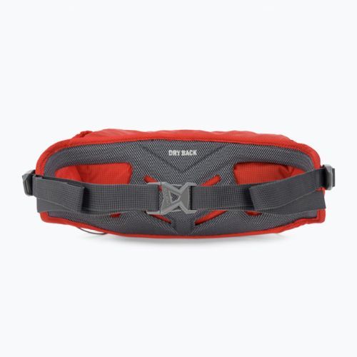 Salewa Lite Train Hipbelt ledvinový sáček červená 00-0000001269