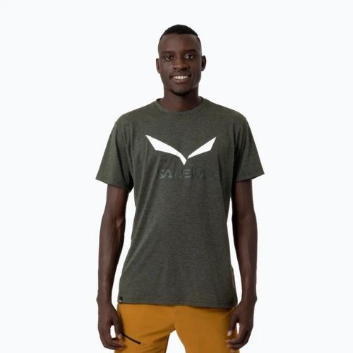 Pánské trekové tričko Salewa Solidlogo Dry tmavě zelené 00-0000027018