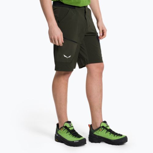 Pánské trekingové šortky Salewa Pedroc 3 DST Cargo green 00-0000028601