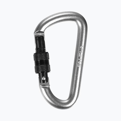 Salewa D-Shape Carbiner se šroubem stříbrná 00-0000034102