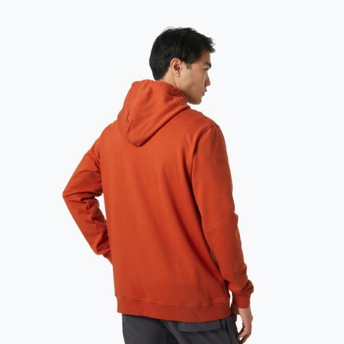 Pánská trekingová mikina Helly Hansen Nord Graphic Pull Over Hoodie červená 62975_308