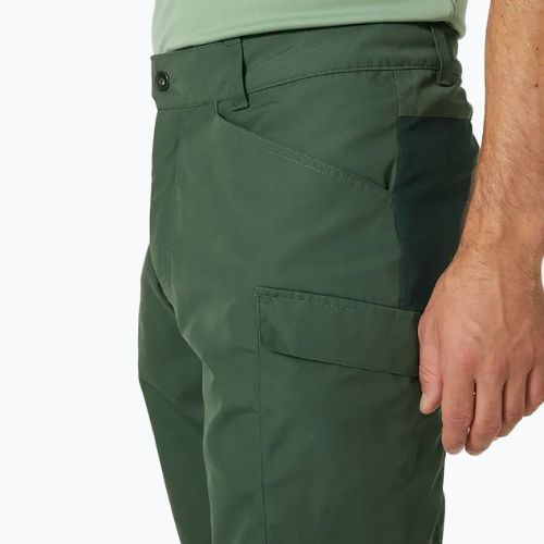 Helly Hansen pánské trekové šortky Vandre Cargo green 62699_476