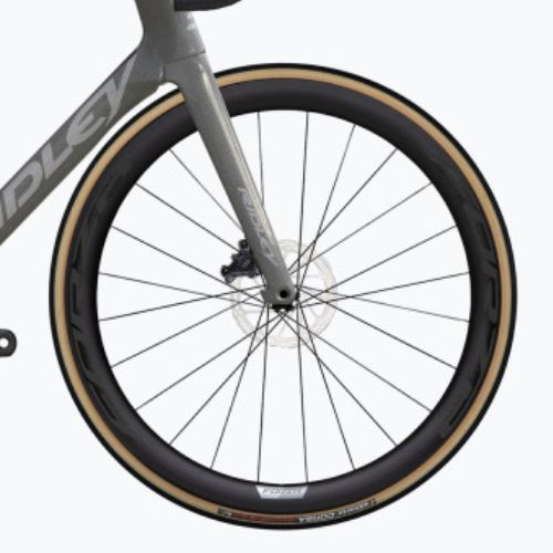 Silniční kolo Ridley Noah Fast Disc šedé SBINFDRID100
