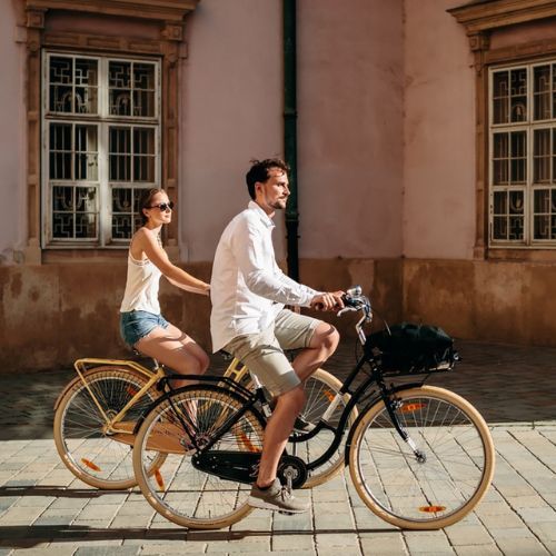 Kellys Royal Dutch 460 městské kolo černé 72362