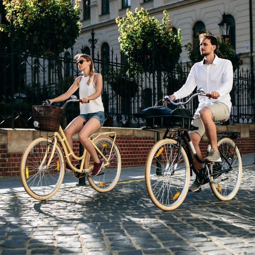 Kellys Royal Dutch 460 městské kolo černé 72362