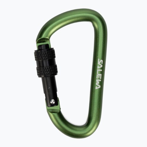 Salewa D-Shape Carbiner se šroubem zelená 00-0000034102