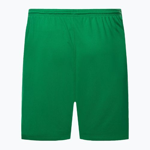 Pánské fotbalové šortky Nike Dry-Fit Park III zelené BV6855-302