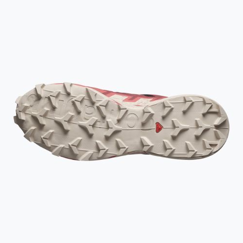 Dámské běžecké boty Salomon Speedcross 6 GTX black/cow hide/faded rose