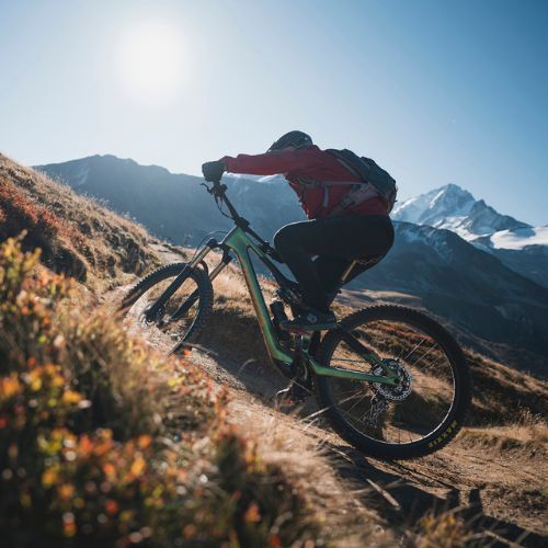 Orbea Rise M-LTD 42V 360Wh 2023 chameleon goblin green/black elektrokolo