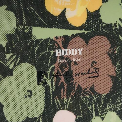 Dámský snowboard DC AW Biddy in bloom
